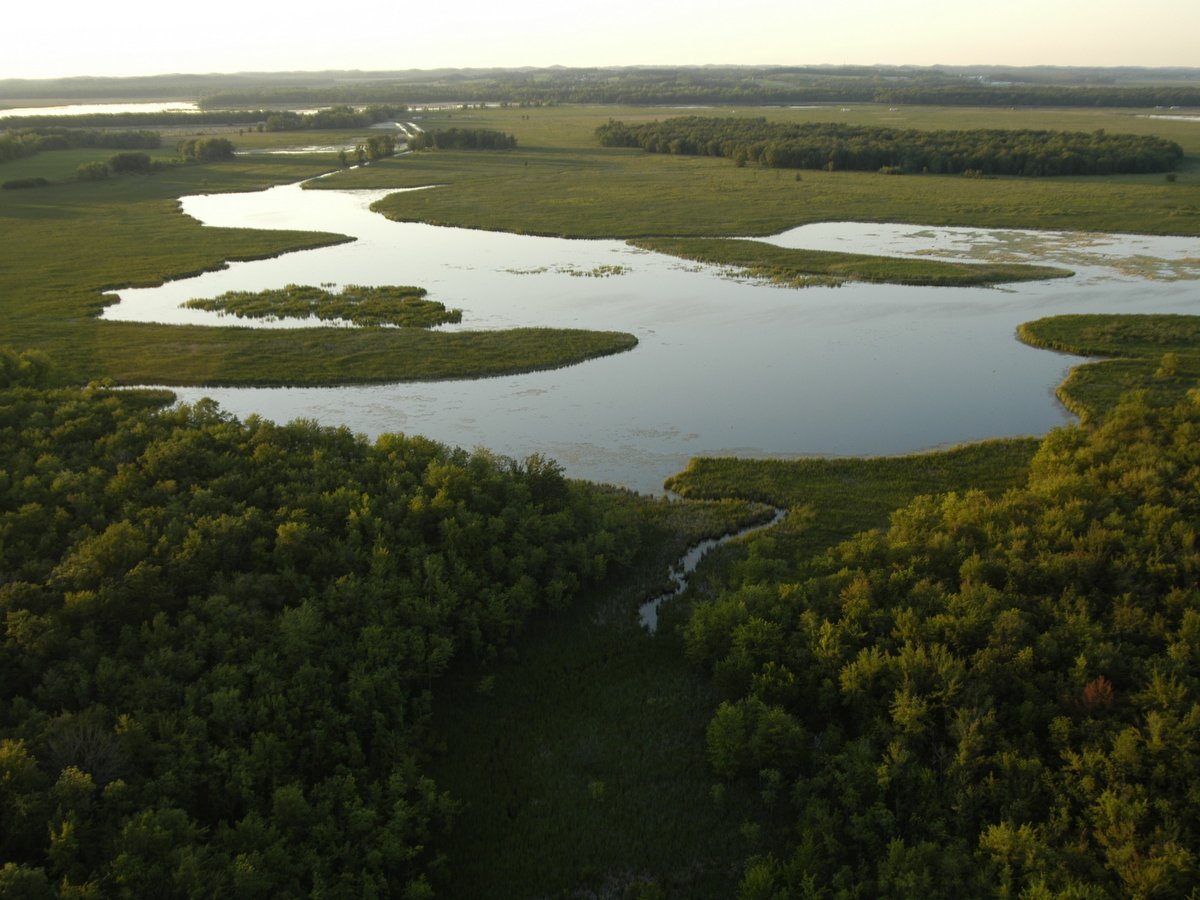 An aerial view of wetlands