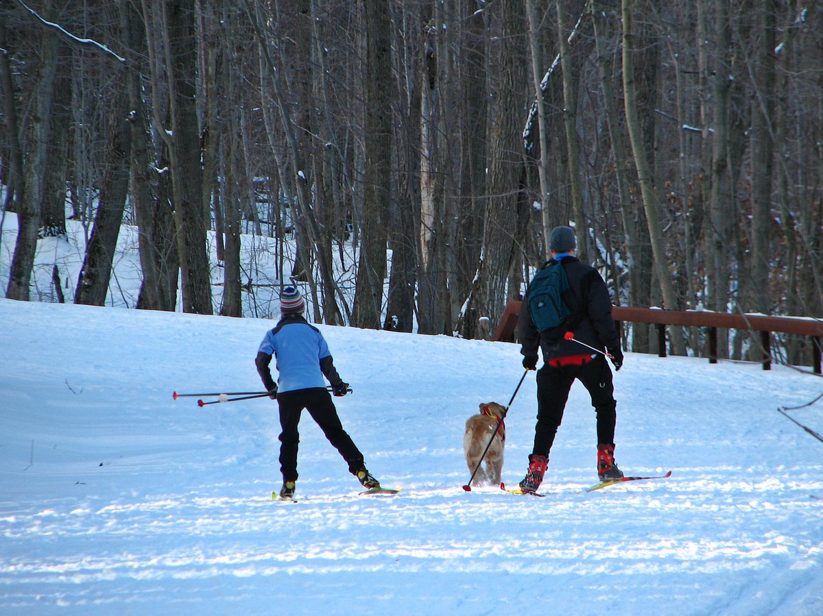 Two people cross-country skiing