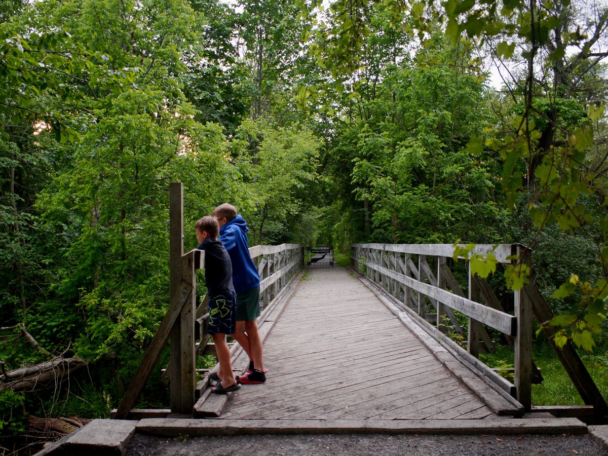 Two boys peering over a bridge
