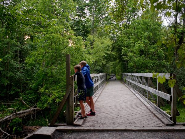 Two boys on a wooden bridge