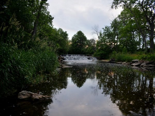 A creek and small waterfall