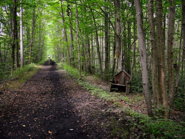 A dirt path and wooden seat