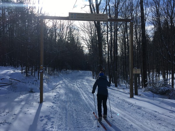 A person cross-country skiing