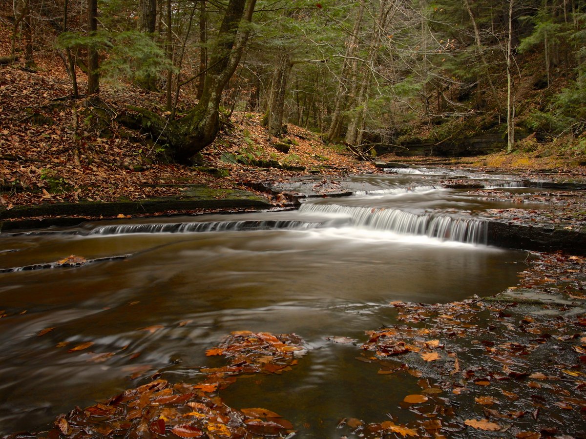 A stream and small waterfall