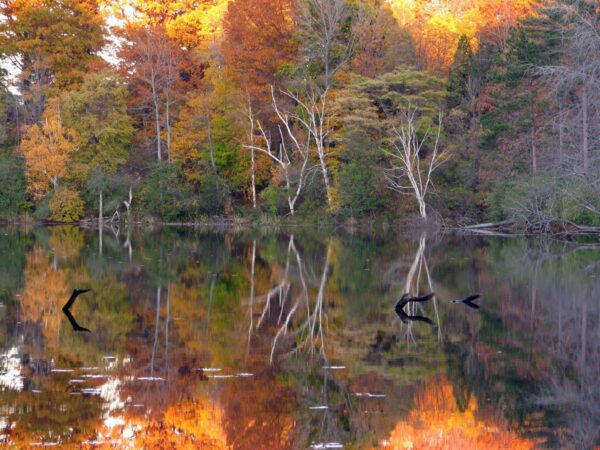 Reflections on a lake in fall