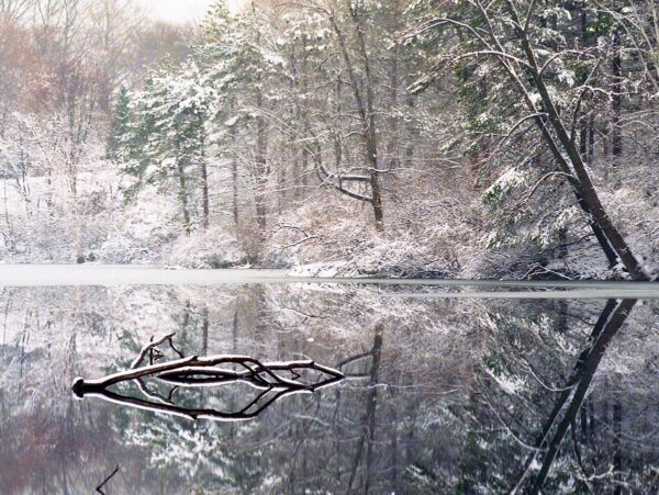 Reflections on a lake in winter
