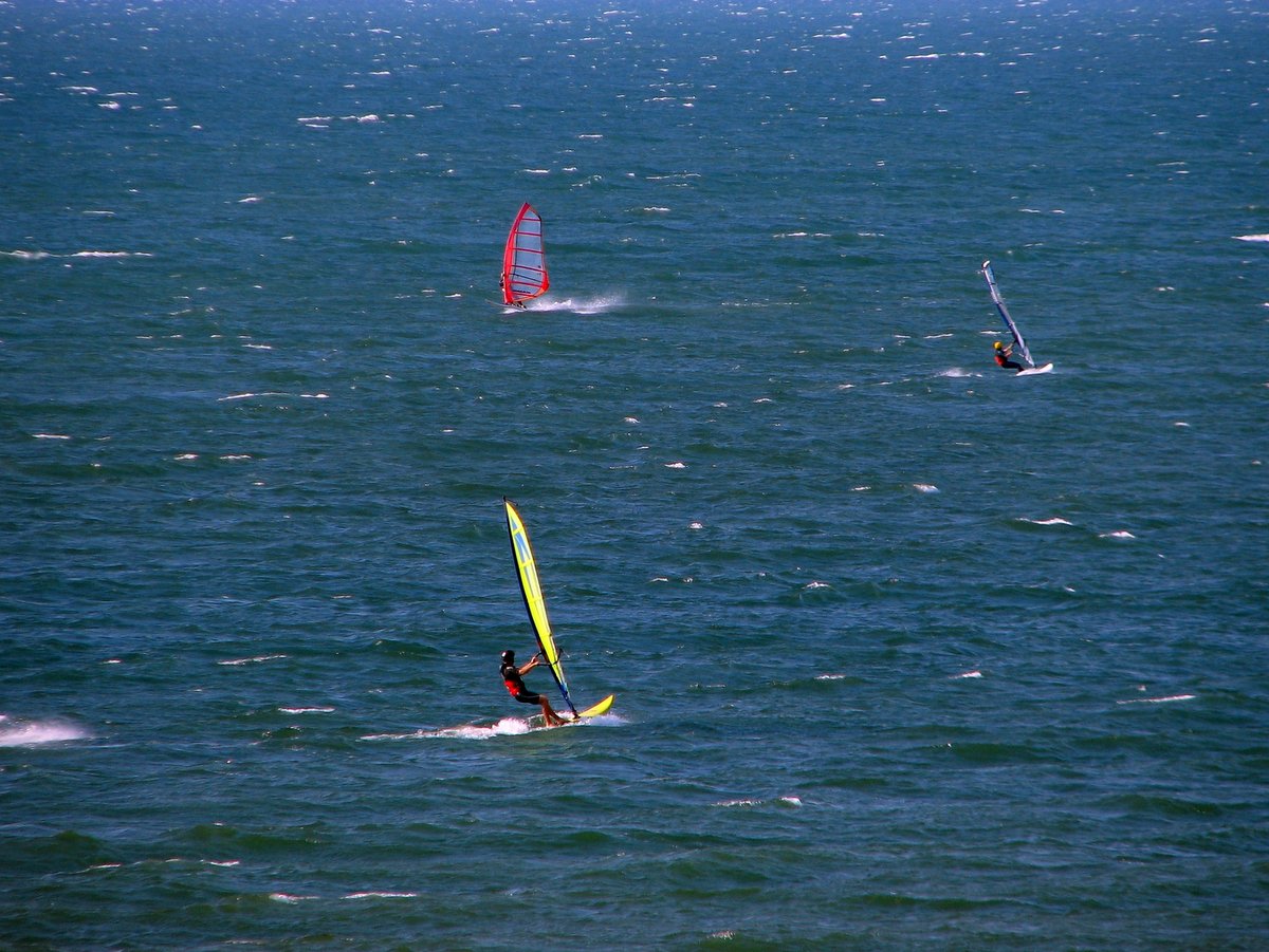People wind surfing on a lake